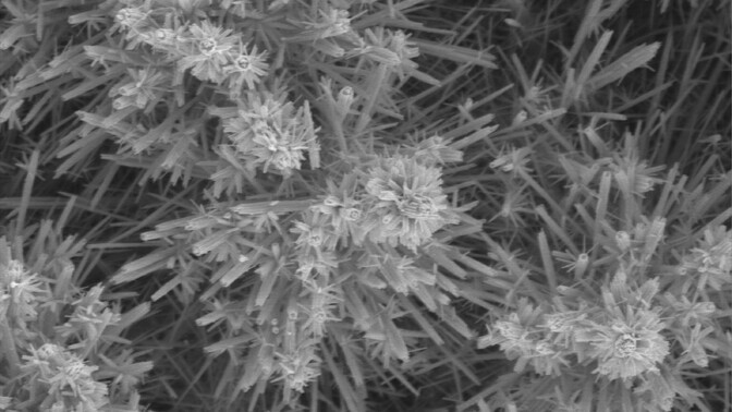 Nanolilled toovad rakkudesse värskeid mitokondreid | Tervis