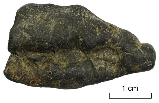 Kiviajal näritud kasetökat annab näo muistsetele Pulli elanikele | Ajalugu