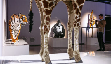 Galerii: rahvusvahelise klotsinäituse "Art of the Brick" avamine | Kunst