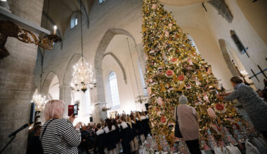 Galerii: Tallinnas Niguliste muuseumis süüdati jõulukuusel tuled | Eesti