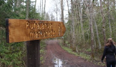 Pühajärve metsade ja matkaradade mured tõid ametnikud ühise laua taha