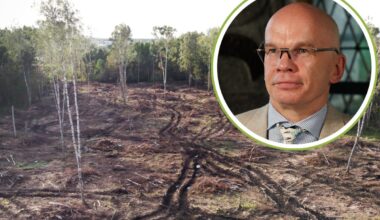 Allar Jõks: looduskaitsel ei ole ülimuslikku seisundit inimeste hakkamasaamise ees