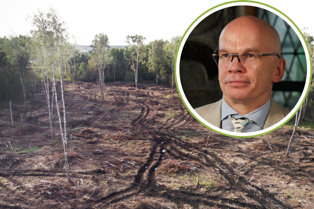 Allar Jõks: looduskaitsel ei ole ülimuslikku seisundit inimeste hakkamasaamise ees