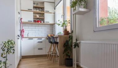 Kuidas üksikema leidis EIS-i abiga unistuste kodu