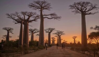 Puust ja punaseks: kes hüvitab pagasi hilinemise, kahjustumise ja varguse?