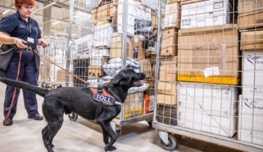 MTA ja TTJA annavad nõu: mida teada enne Musta reede veebipakkumistele tormamist