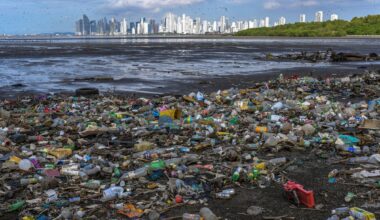 Tulevikuplast: teadlased saaks otsustada, kas plast laguneb päeva, nädala või kuu pärast