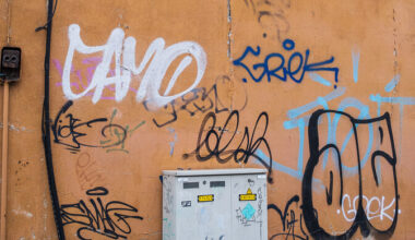 Tallinna majaomanikud on hädas majaseinte sodijatega | Eesti