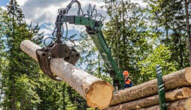 Eesti Keskkonnaühenduste Koda leiab, et eelnõud peaksid olema suunatud looduse seisundi parandamisele ja raiemahu vähendamisele jätkusuutlikule tasemele, mitte liikuma vastupidises suunas.