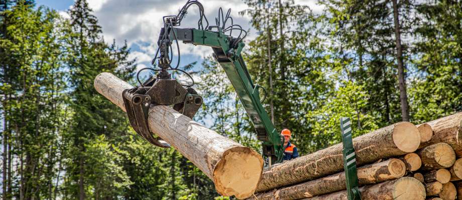 Eesti Keskkonnaühenduste Koda leiab, et eelnõud peaksid olema suunatud looduse seisundi parandamisele ja raiemahu vähendamisele jätkusuutlikule tasemele, mitte liikuma vastupidises suunas.