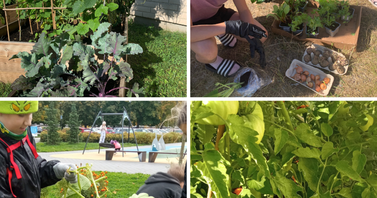 Tallinna Kopli huvikooli õpiaed ühendas kogukonna, looduse ja õppimise