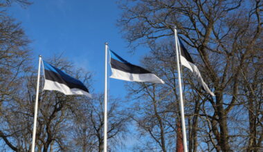 Pühapäeval lehvivad Eesti lipud isade auks