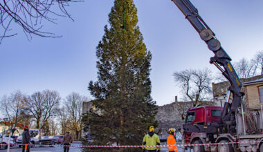 Galerii: Haapsallu jõudis jõulupuu - Lääne Elu