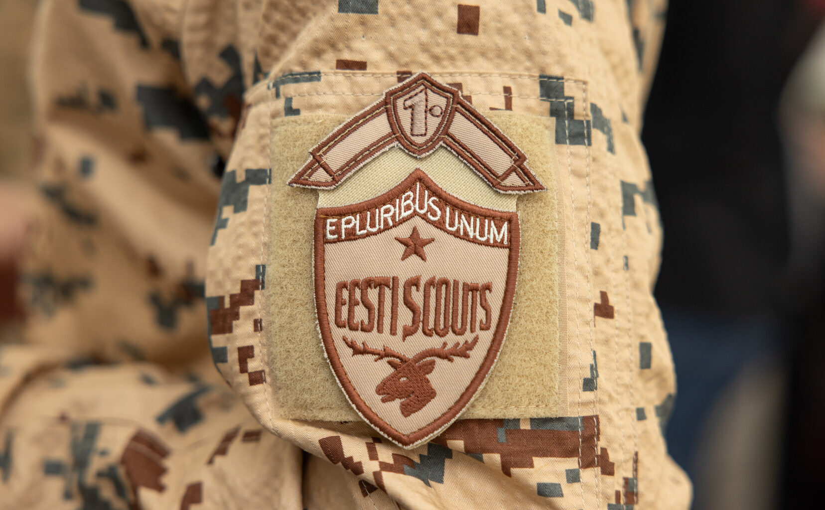 Riigikogu pikendas Kaitseväe osalemist rahvusvahelistel sõjalistel operatsioonidel