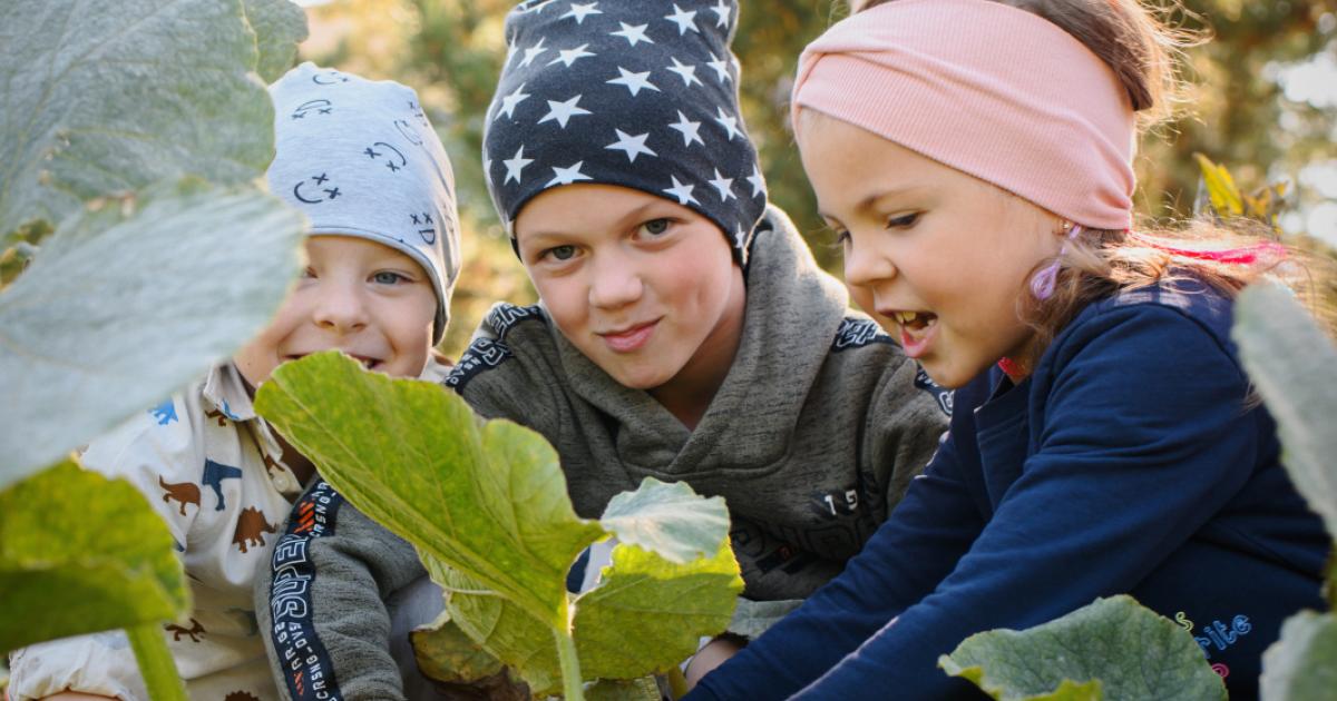 Tallinna linnaaianduse kogemuspäev toimub 15. novembril