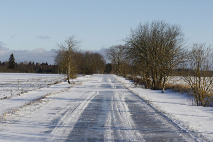 Libe tee (urmas lauri) - 2