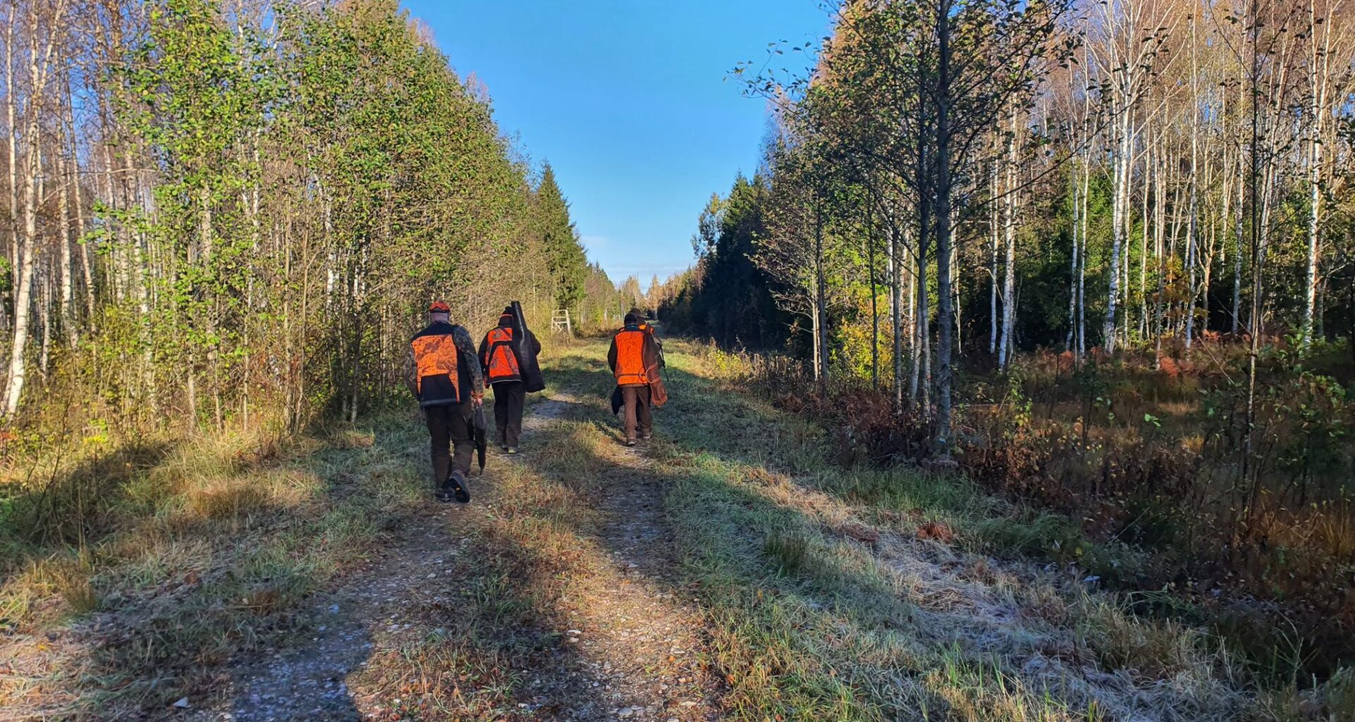 Metssigade küttimistoetuse väljamaksed algavad - Eesti Jahimeeste Selts