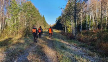 Metssigade küttimistoetuse väljamaksed algavad - Eesti Jahimeeste Selts