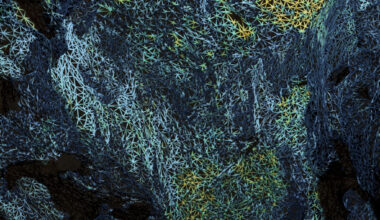 Sander Saarmets – Bleu Précieux (Glitch Please, 2025)