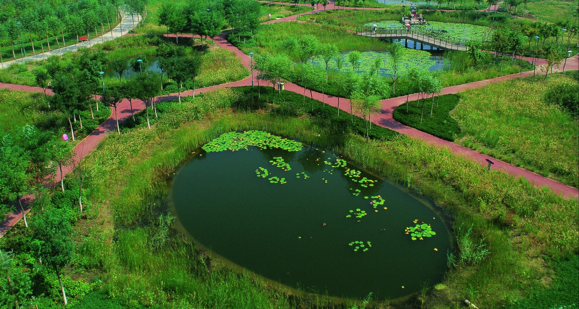 Elevant toas. Maastikuarhitektuuri väljakutsed kobarkriisis