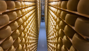 Võrus valmis Valio ladu 110 000 kera kõvajuustu küpsetamiseks