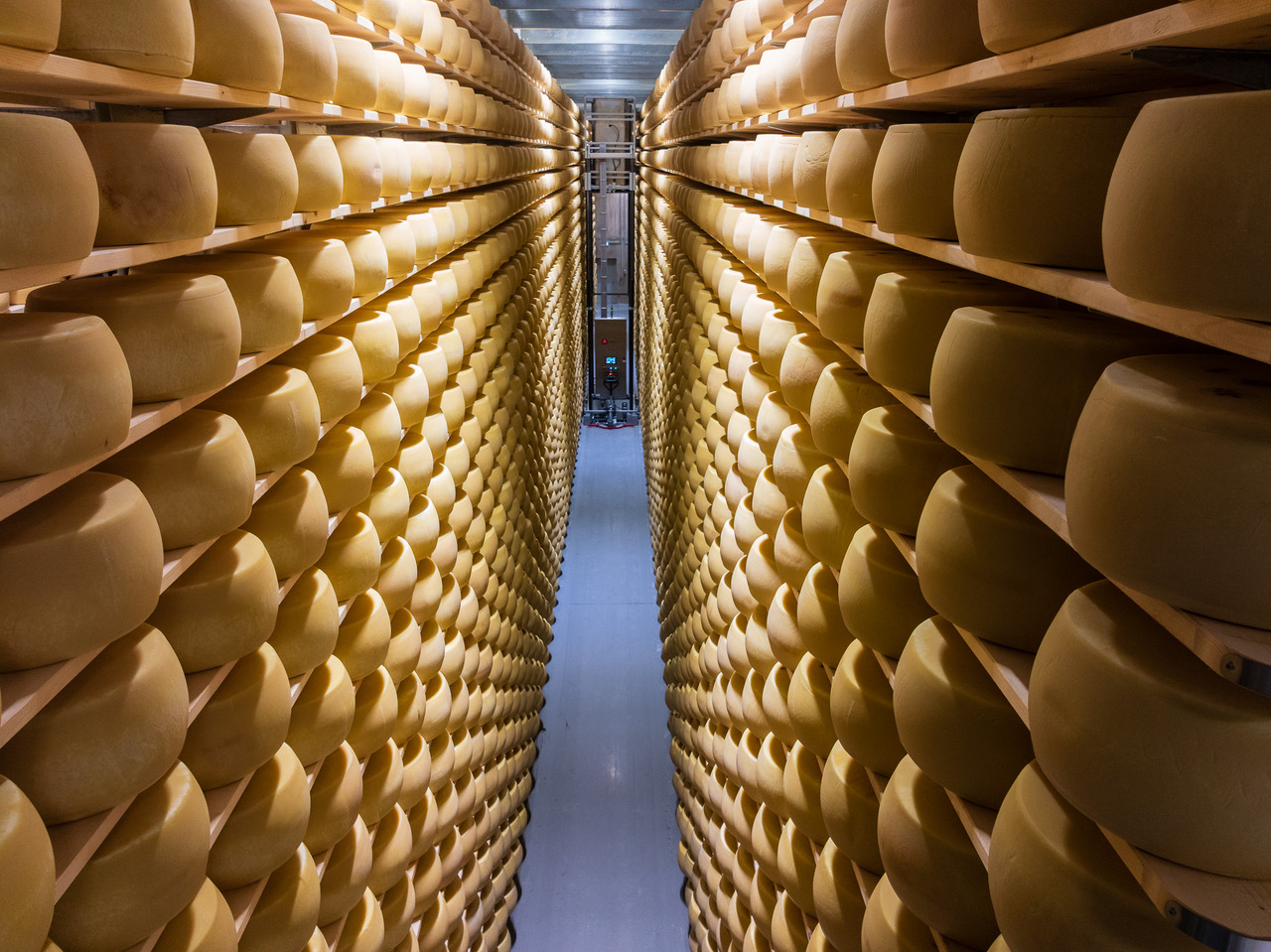 Võrus valmis Valio ladu 110 000 kera kõvajuustu küpsetamiseks