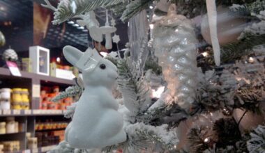 Esimesest advendist algab kaubanduses suurem jõulumöll. Viimase aja trend on osta kingiks toitu