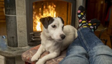 GRAAFIKUD | Euroopa elektri- ja gaasihinnad: kus maksab energia kõige rohkem?