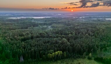 Tööandjad Eesti kliimapoliitikast: kliimakindla majanduse seadus on praegusel kujul läbikukkunud