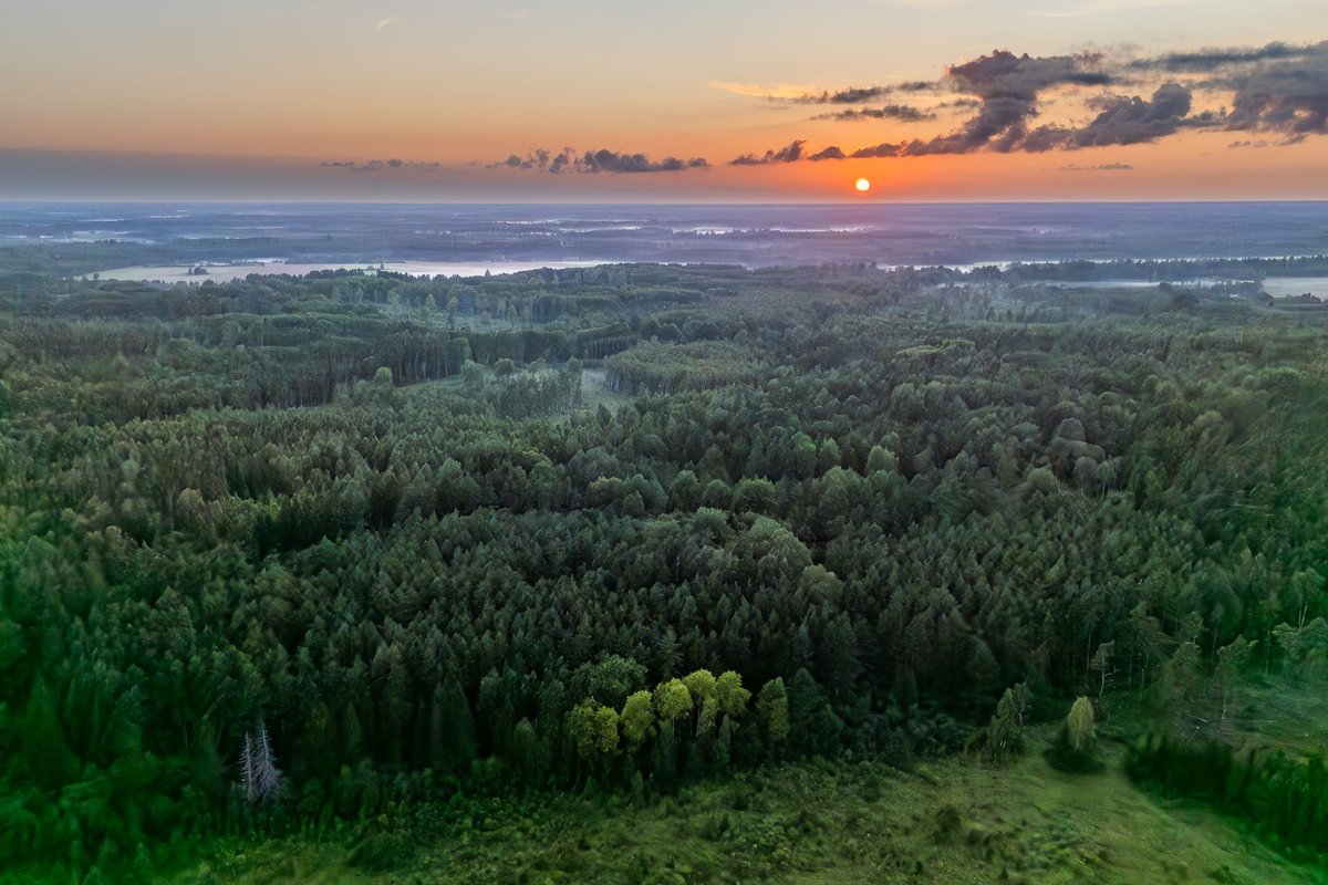 Tööandjad Eesti kliimapoliitikast: kliimakindla majanduse seadus on praegusel kujul läbikukkunud