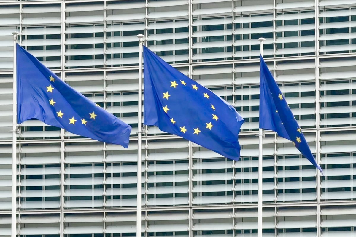 EL-i laienemisülevaates saab Ukraina mõõdukalt kiita, aga Gruusia on jäänud kandidaatriigiks ainult nimeliselt