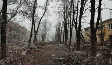 17 Donbassi lõksu jäänud Lõuna-Aafrika Vabariigi kodanikku saatsid oma valitsusele abipalve