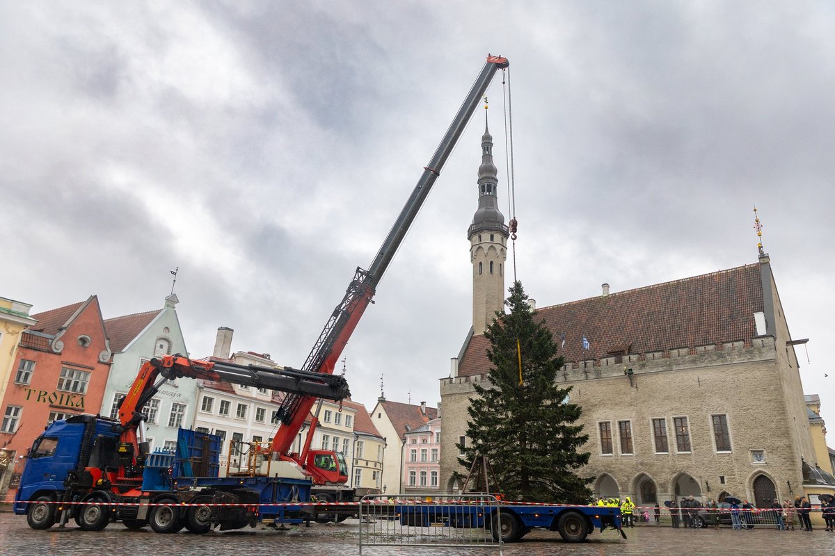 VIDEO JA FOTOD | Tallinna Raekoja platsil pandi vihmasaju saatel püsti jõulukuusk