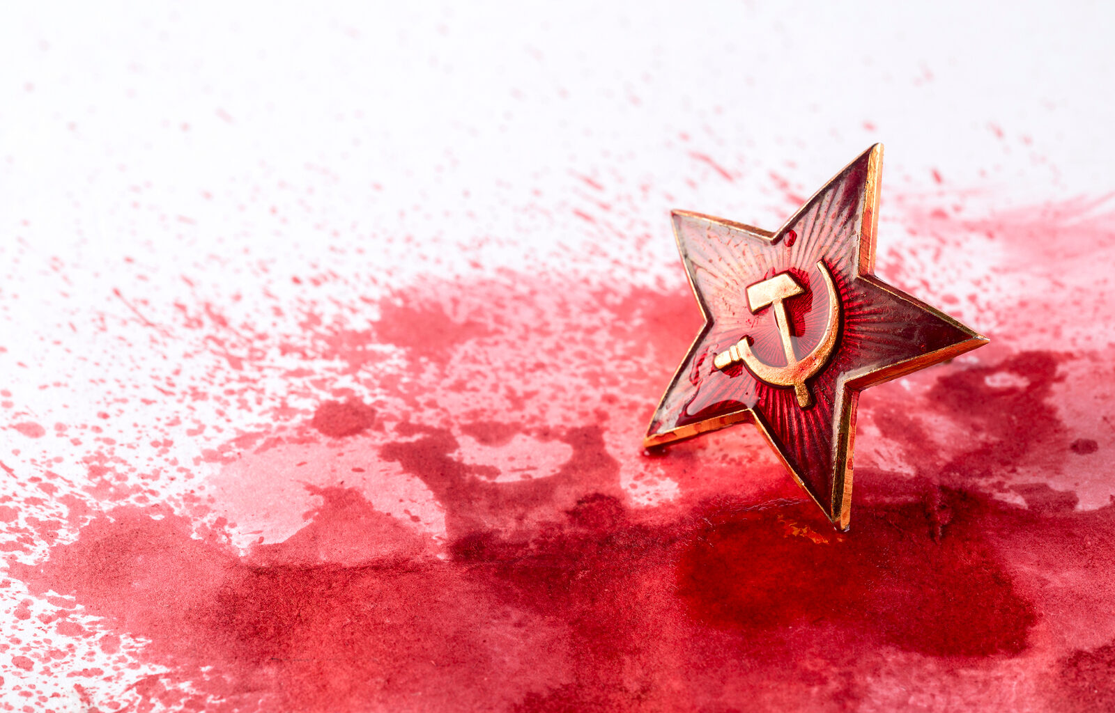 KOLUMN ⟩ Roland Tõnisson: kuidas sotsialism sunddieediga ukrainlasi ravis