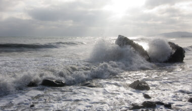 Kogu Eesti sai tugeva tuule hoiatuse