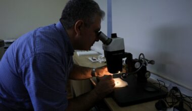 Üle 3 miljardi aasta vanustest kivimitest avastati jäljed elust. See muudab senist arusaama Maa ajaloost