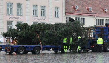 OTSEFOTOD | Tallinna raekoja platsil pannakse püsti jõulukuusk