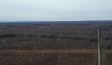 VIDEO | Narva-Jõesuus lõhati 250-kilogrammine lennukipomm - Delfi