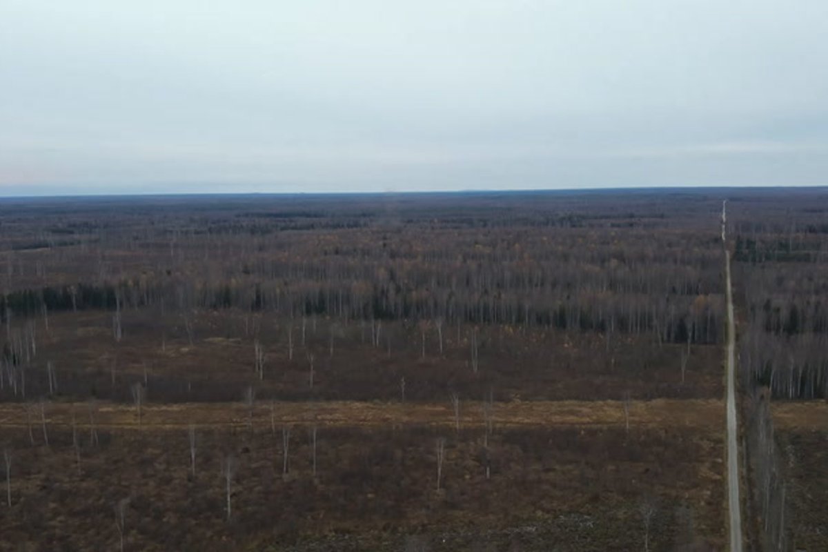 VIDEO | Narva-Jõesuus lõhati 250-kilogrammine lennukipomm - Delfi