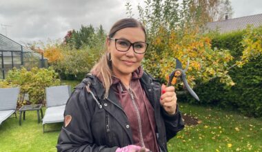 LAHE AED | Anneli Lahe jagab nippe, kuidas puid ja põõsaid õigesti lõigata