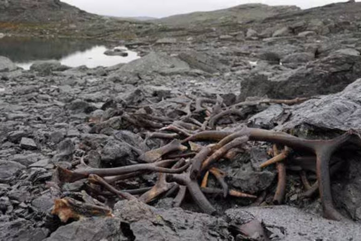 Norra mägedest sulasid välja põhjapõdralõks ja puidust aer