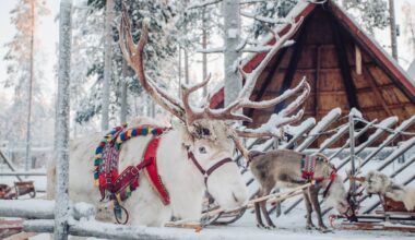 Bussireisid Lapimaale pole oma menu minetanud. Ehkki sõit Eestist on pikk, müüakse reisid välja