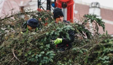 FOTOD | Raekoja platsil askeldas kuuse kallal kriminaalse minevikuga päkapikk - Õhtuleht