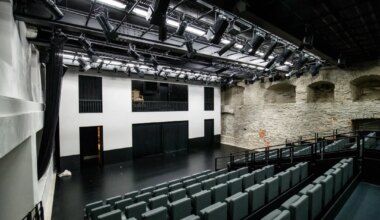 Purga aitab tagada Theatrumi ja elektron.art'i tegevuse jätkumise