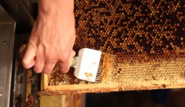 STATISTIKATEADE. Indeksifondide osakaal pensionifondide varades kasvab edasi | Pressiteated