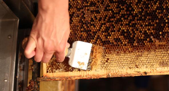 STATISTIKATEADE. Indeksifondide osakaal pensionifondide varades kasvab edasi | Pressiteated