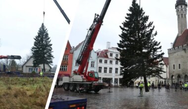 GALERII JA VIDEO | Raekoja platsi ehib Kohila pere õuepuu: „Kuusest on kahju, aga meel on rõõmus.“