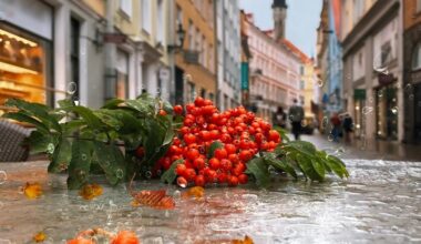 Septembris peatus majutusettevõtetes 4% rohkem turiste kui mullu