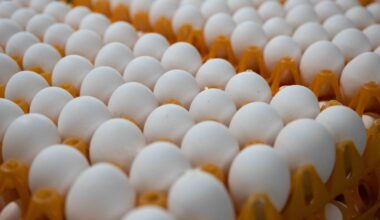 Maaelukomisjon arutas Eesti Põllumajandus-Kaubanduskoja pöördumist valitsuse ja maaelukomisjoni poole