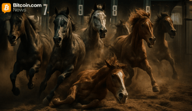 Tulu tootvad stabiilsusmündid kogevad pärast 3 tokeni kokkuvarisemist massilist väljarännet - Bitcoin.com News